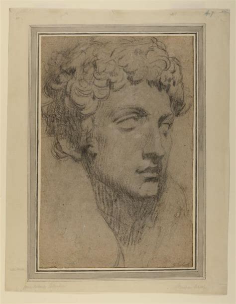 Study Of The Head Of Giuliano De Medici After Michelangelo Front