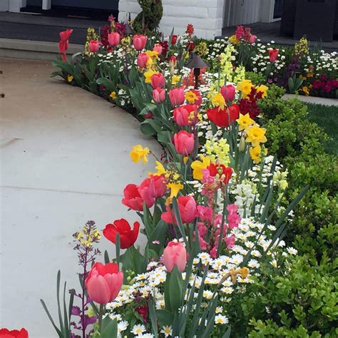 Plants to put into the ground in the fall, and also choices that will bloom beautifully for you during those early winter months. Fall & Winter Flower Beds - Landscape Makeover | Folsom ...