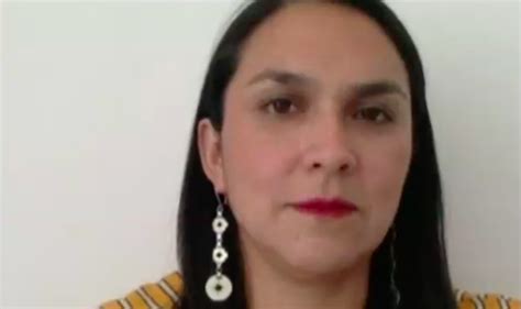 Convencional Catrileo “los Derechos De Pueblos Indígenas Forman Parte