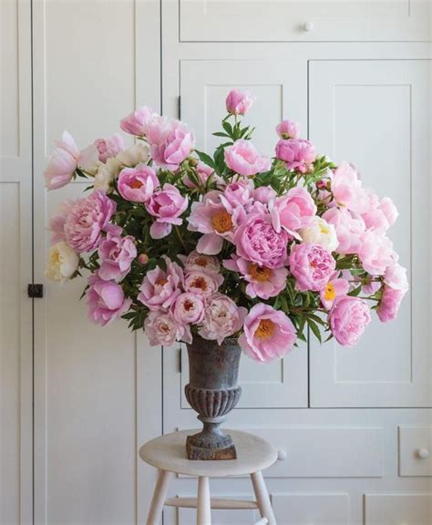 Required Reading In Full Flower Gardenista Fancy Flowers Flowers For You Pink Flowers