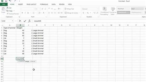 How To Use The Count Countif And Countifs Functions In Excel 2013