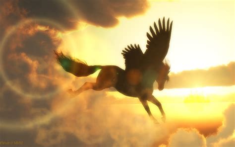 Pegasus Hd Wallpaper Background Image 2560x1600 Id448924