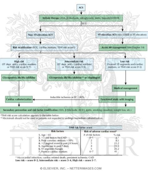 Algorithm For Differential Diagnosis Of Acute Coronary Syndrome Acs
