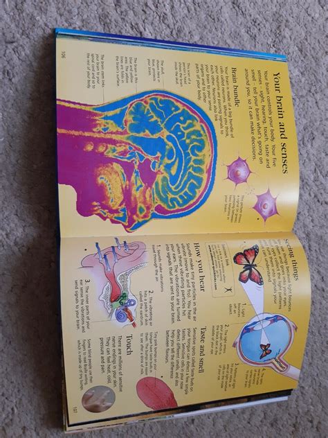 The Usborne Internet Linked Childrens Encyclopedia By Felicity Brookes