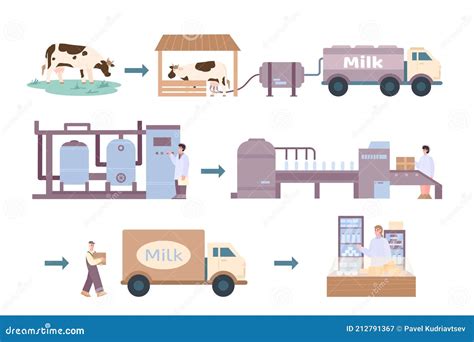 Process Of Milk Products Processing Cartoon Vector Illustration