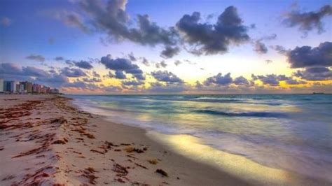 Los Encantos De Miami Y Sus Alrededores Ciudad De Miami Mar Y Playa