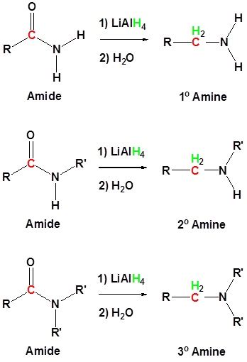Conversion Of Amides Into Amines With Lialh4 Chemistry Libretexts