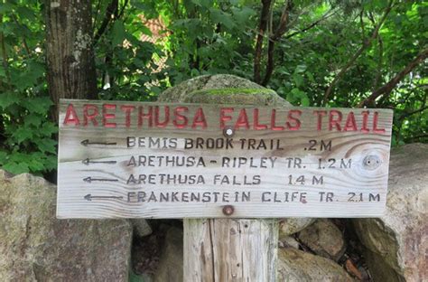 Arethusa Falls Trail Hike In Crawford Notch Nh Crawford Notch