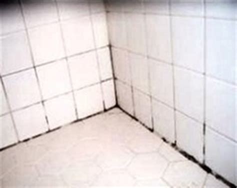 Best Way to Remove Mold and Mildew from Tile Grout