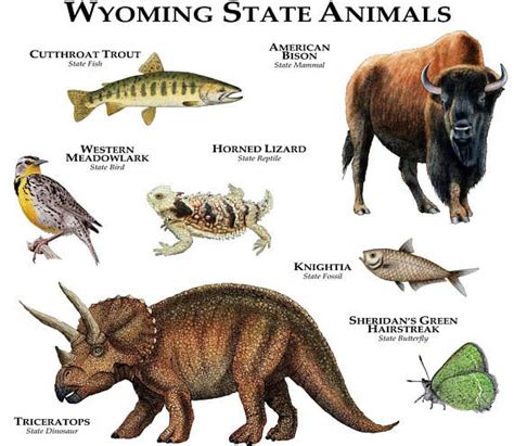 Wyoming State Animals Poster Print Etsy Animal Posters Wyoming