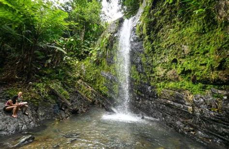 Visiting El Yunque National Forest In Puerto Rico