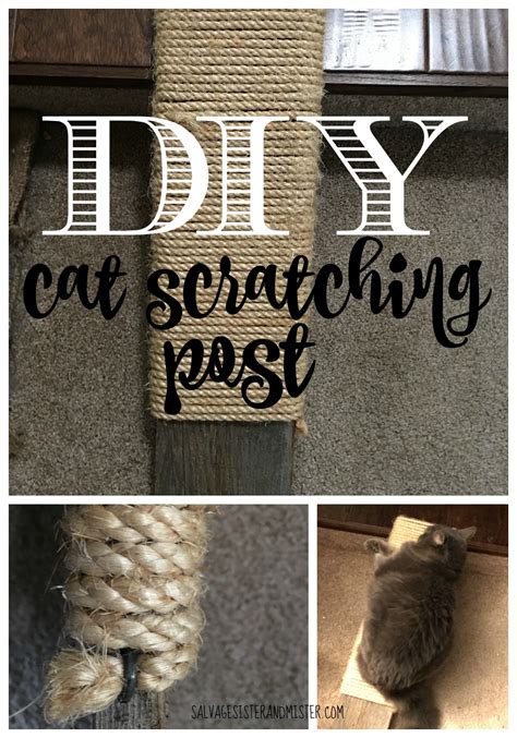 Diy Cat Scratching Post Salvage Sister And Mister
