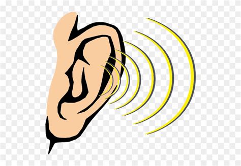 Hearing Sound Sense Human Body Clipart Sense Of Hearing Hd Png
