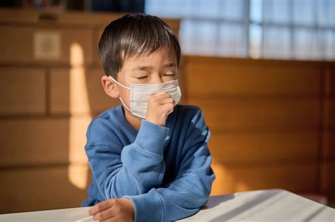 エタノール蒸気吸入がウイルス性呼吸器感染症の予防・治療に有効 沖縄科学技術大学院大学 大学ジャーナルオンライン
