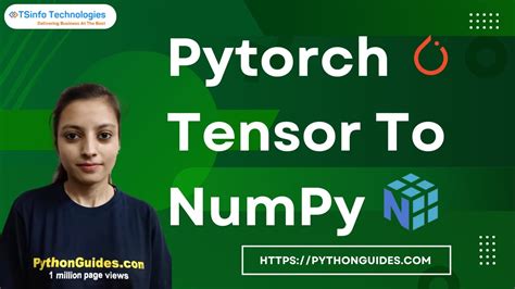Convert Pytorch Tensor To Numpy A Step Guide Pytorch Tutorial Hot Sex