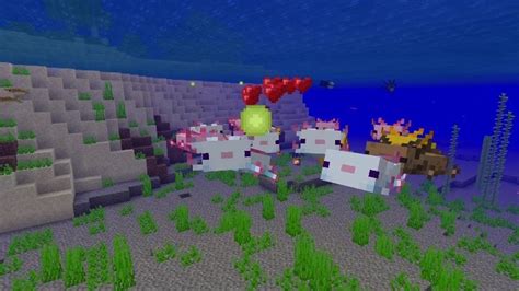 Minecraft Caves And Cliffs Axolotl Occurrence Usage Minecraft Guide