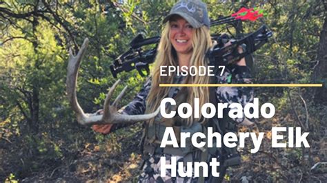 Colorado Archery Elk Hunt Episode 7 Last Day Youtube