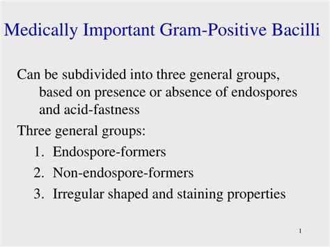 Ppt Medically Important Gram Positive Bacilli Powerpoint Presentation