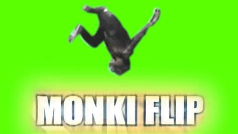 Epic Monkey Flip Youtube