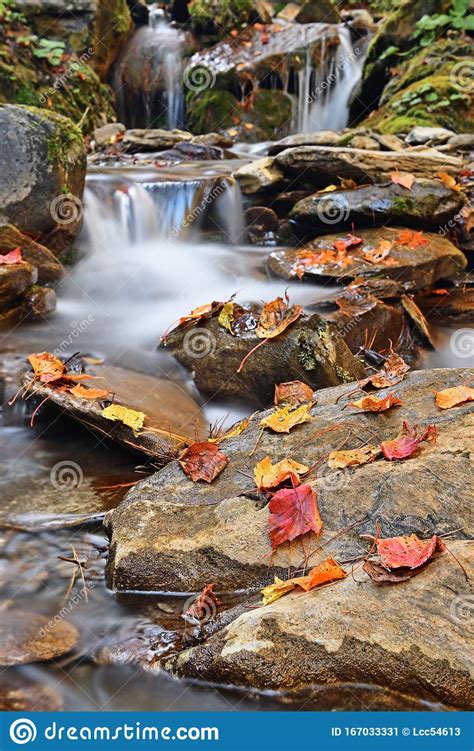 Red Autumn Leaf On A Rock Near A Waterfall Stock Image Image Of Leaf