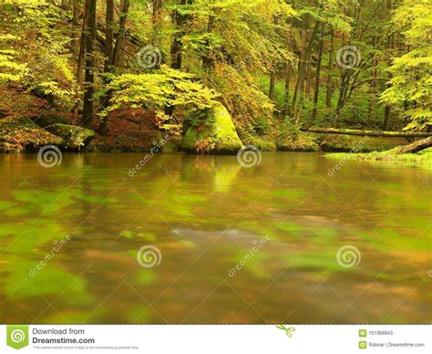 Autumn Colorful Forest Above Mountain River Water Under Leaves Trees