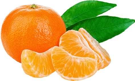 Tangerine Png Isolated Photos Png Mart