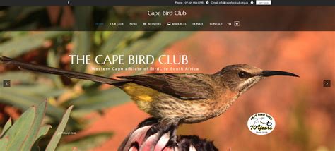 Cape Bird Club Full Circle Creations