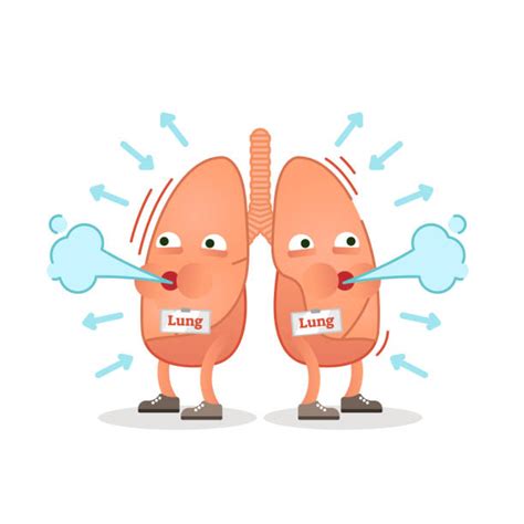Cartoon Of The Respiration Illustrations Royalty Free Vector Graphics