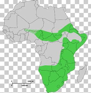 Blank map africa world map, africa, blank, africa png. Africa Blank Map PNG, Clipart, Africa, Area, Black, Black And White, Blank Free PNG Download