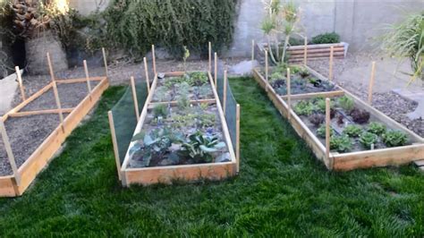 Backyard Raised Vegetable Garden Besticoulddo