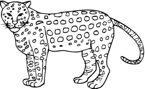 Cheetah Coloring Pages: Free Printable Cheetah Coloring Pages Your coloring will look realistic even without shadows and glare.