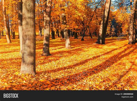 Autumn Landscape Sunny Image And Photo Free Trial Bigstock
