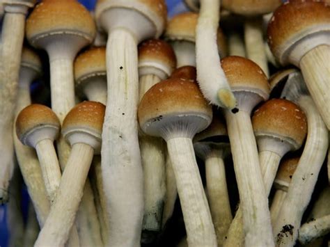 Police Man High On Mushrooms Rips Off Part Of Penis