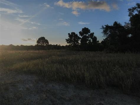 The pet motel was originally established in 1962. Miramar Pineland Park - 2020 All You Need to Know BEFORE ...