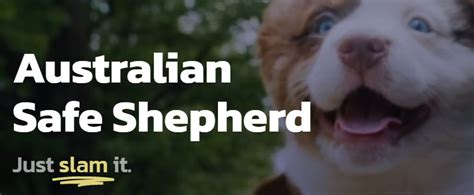 Australian Safe Shepherd Nedir Ass Token Bilgi Kripto