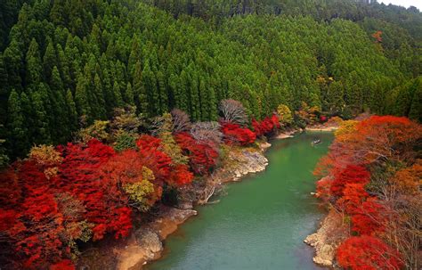 Japan River Forest Trees Autumn Wallpaper 2048x1312 162818