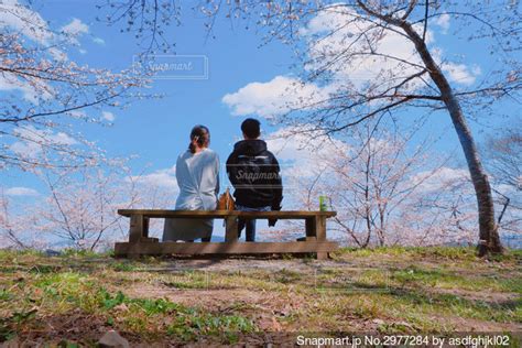 ベンチに座る2人の写真・画像素材[2977284] snapmart（スナップマート）