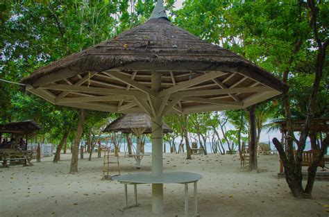 White Haven Beach Resort In Gumasa Rates Pictures Reviews And