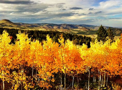 The Fall Colors Of Colorado And A Community Idea Andrew Hyde