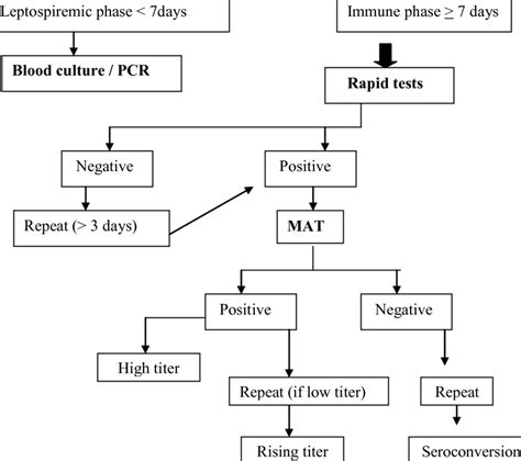 Approach To Diagnosis Of Leptospirosis Clinical Features Suggestive Of
