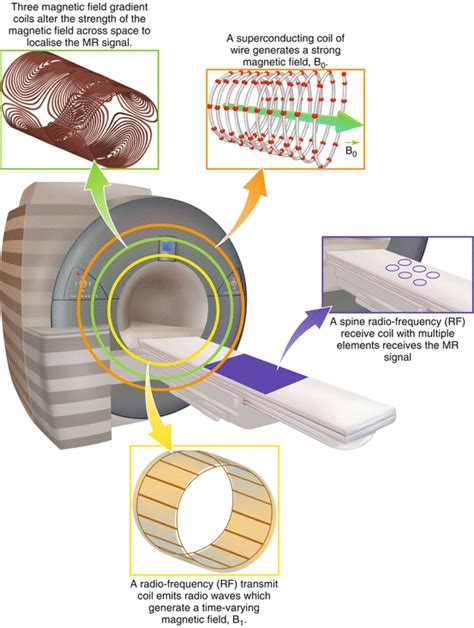 Magnetic Resonance Imaging Mri Methods Neupsy Key