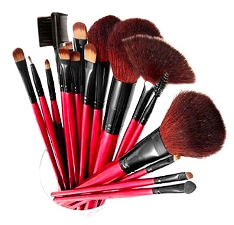 Shany Professional 12 Piece Cosmetic Brush Set With Pouch Red