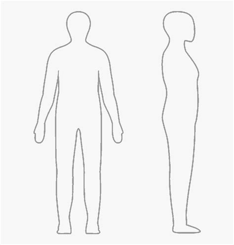 Human Body Side View Front Body Side Man Human Model Poses Vector