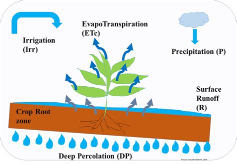 How to ensure efficient crop irrigation management