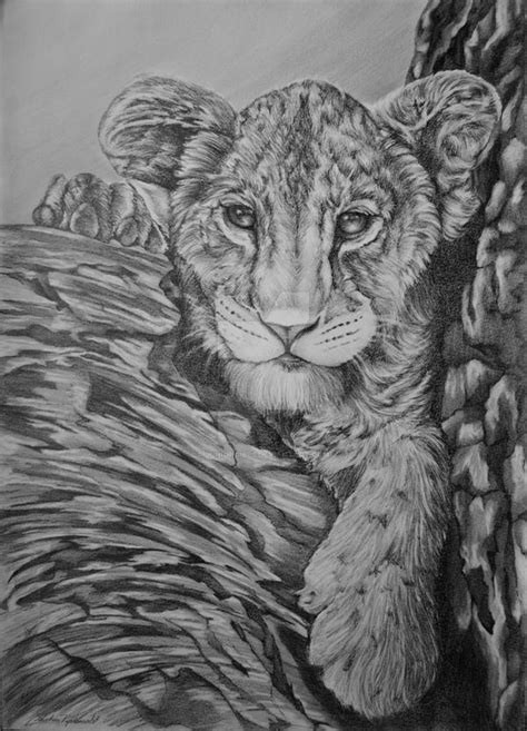 Lion Cub By Juniorgibbs On Deviantart