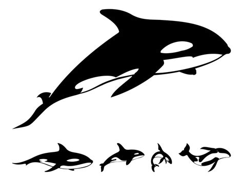 Killer Whale Silhouettes Vector Art And Graphics