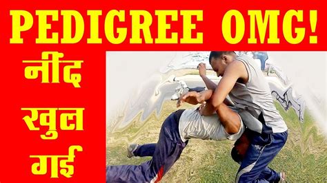 Wwe Star Triple H Pedigree Move By Real Manlearn Martial Art And Wwe