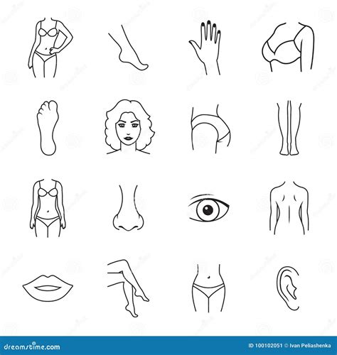 Human Body Parts Icons Stock Illustration Illustration Of Nose 100102051