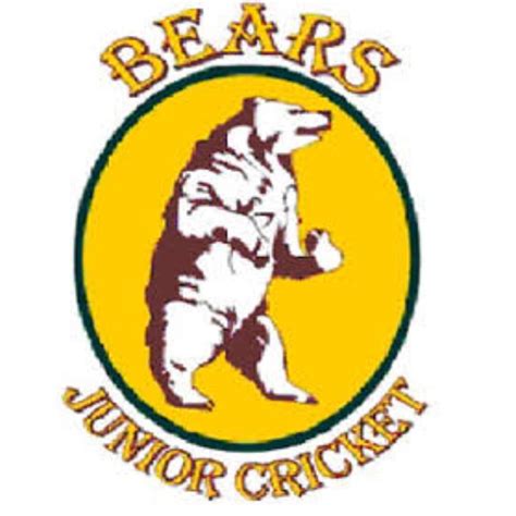 Bears Junior Cricket