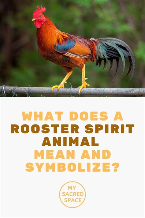 What Does A Rooster Spirit Animal Mean And Symbolize My Sacred Space